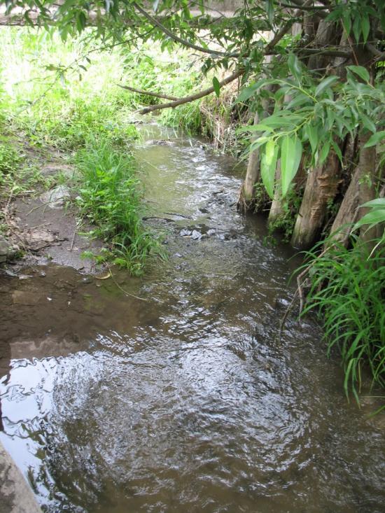 Рогань з panoramio.com - Rogan