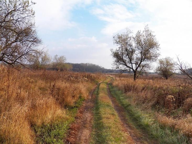Нижня Кринка з panoramio.com - Нижняя Крынка