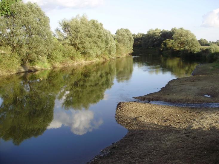 Черниця з panoramio.com - Черниця
