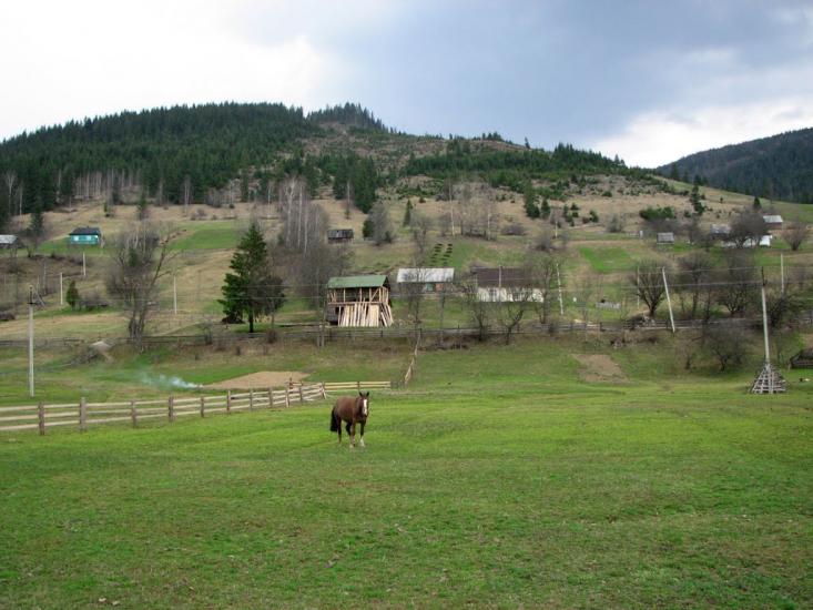 Бистриця з panoramio.com - Bystrytsya