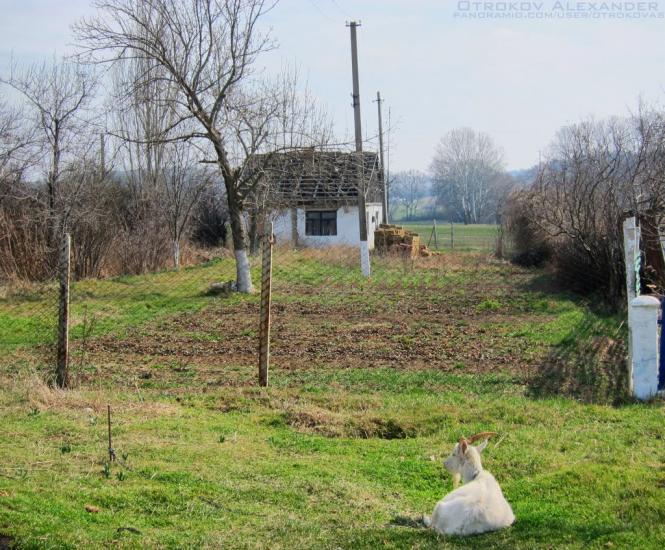 Полюшко з panoramio.com - Полюшко