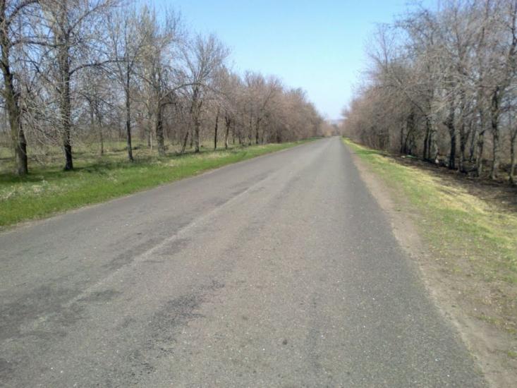 Новгородське з panoramio.com - Новгородське