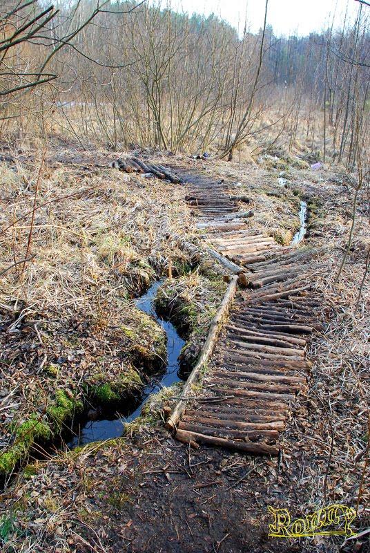 Довжик з panoramio.com - Довжик
