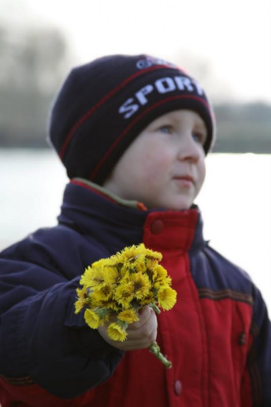 Плесецьке з panoramio.com - Plesetske