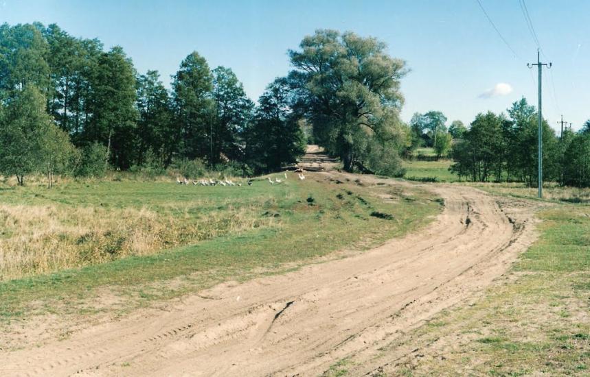 Шведчина з panoramio.com - Шведчина