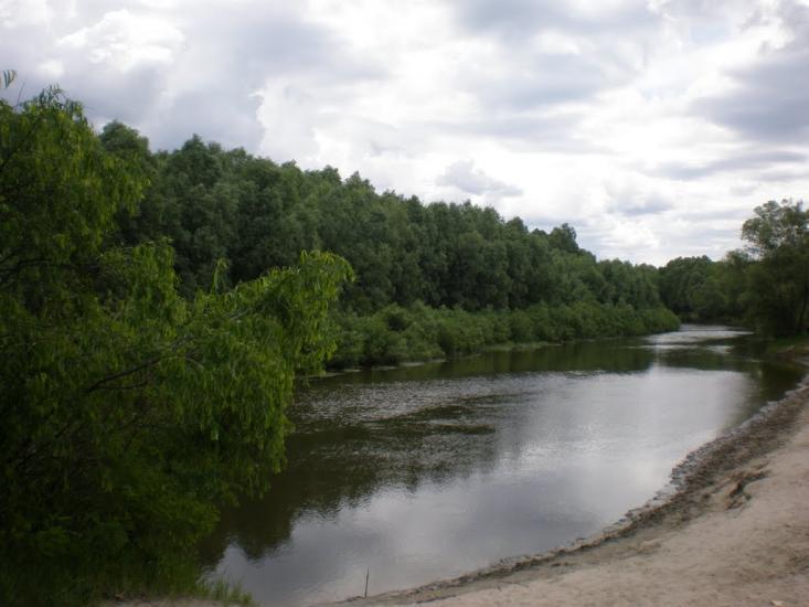 Вища Дубечня з panoramio.com - Вища Дубечня