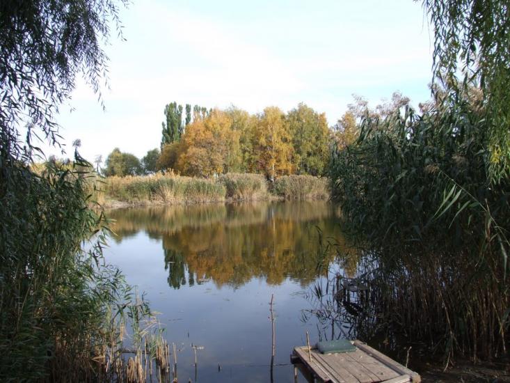 Мартове з panoramio.com - Мартово