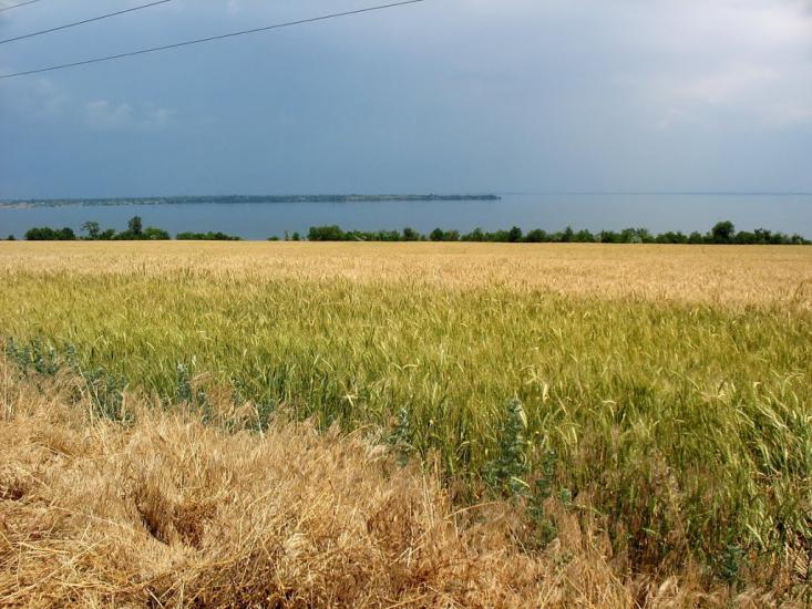 Мар'янське з panoramio.com - Марьянское