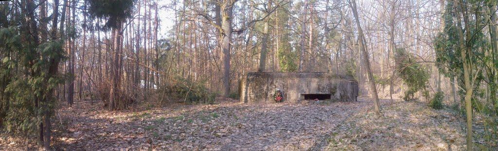 Віта-Поштова з panoramio.com - Вита-Почтовая