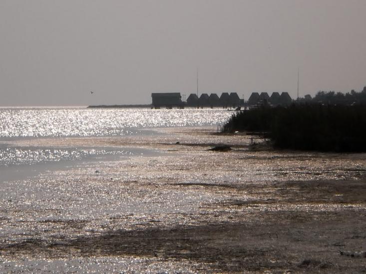 Озерне з panoramio.com - Озерне