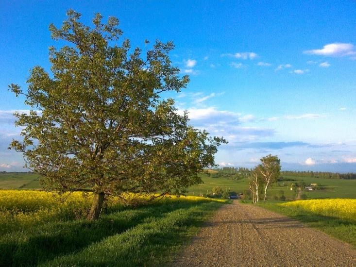 Михальча з panoramio.com - Михальча