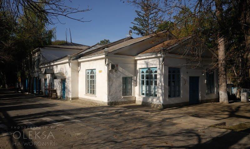 Каштанове з panoramio.com - Каштановое