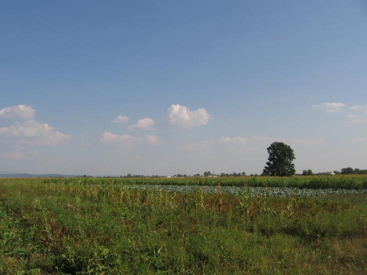 Пийтерфолво з panoramio.com - Пийтерфолво