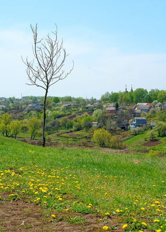Коротич з panoramio.com - Коротыч