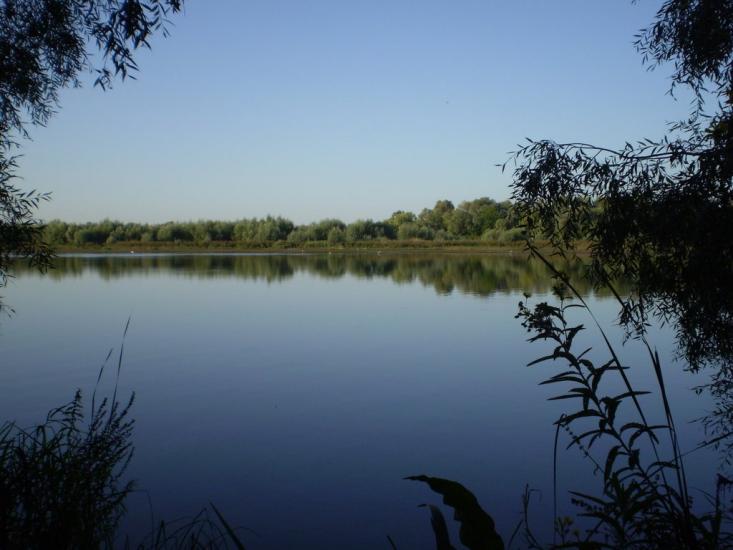 Прохорівка з panoramio.com - Prokhorivka