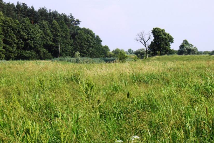 Бодячів з panoramio.com - Бодячев