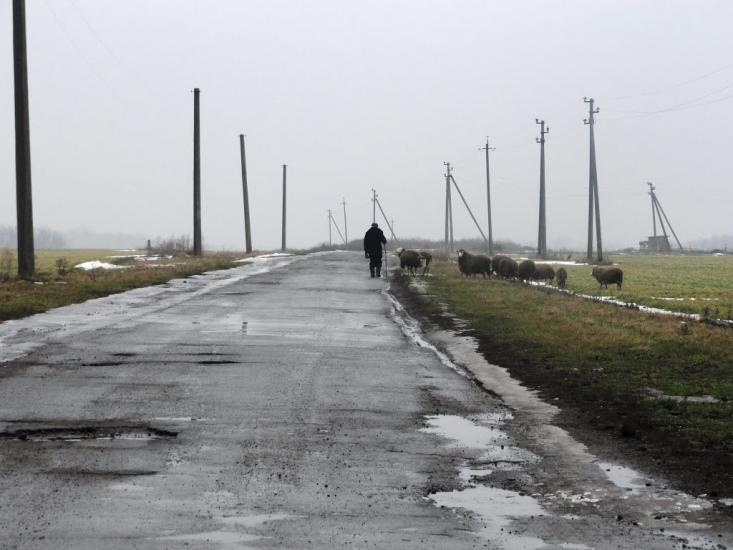 Мильці з panoramio.com - Мильцы