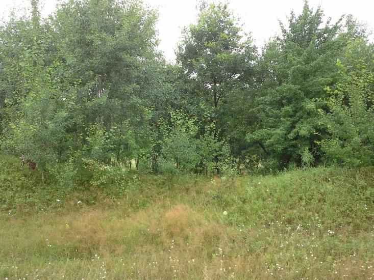 Вирка з panoramio.com - Вырка