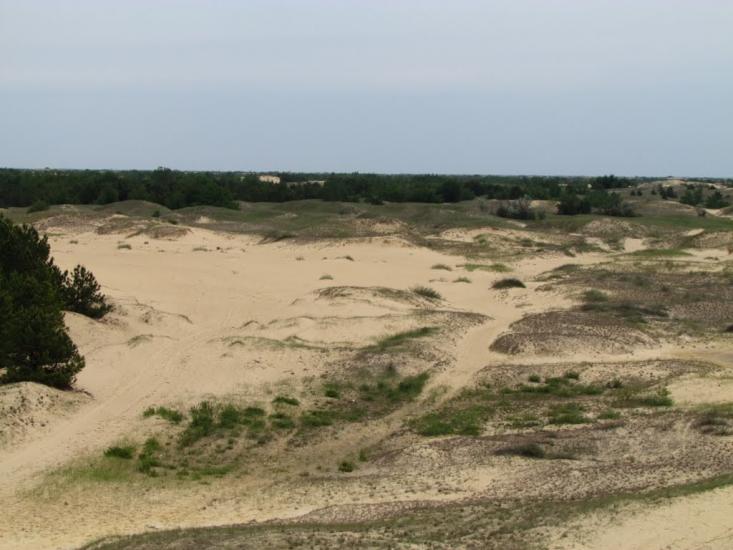 Пролетарка з panoramio.com - Пролетарка