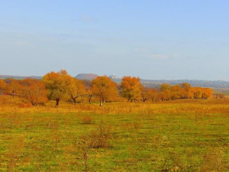 Нижня Кринка з panoramio.com - Нижняя Крынка