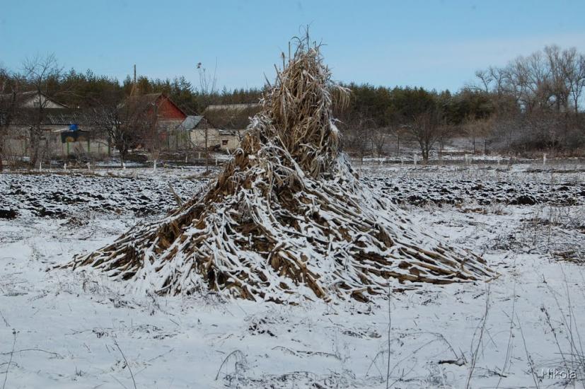 Боровеньки з panoramio.com - Боровеньки