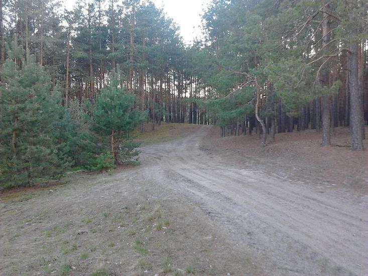 Слоут з panoramio.com - Слоут