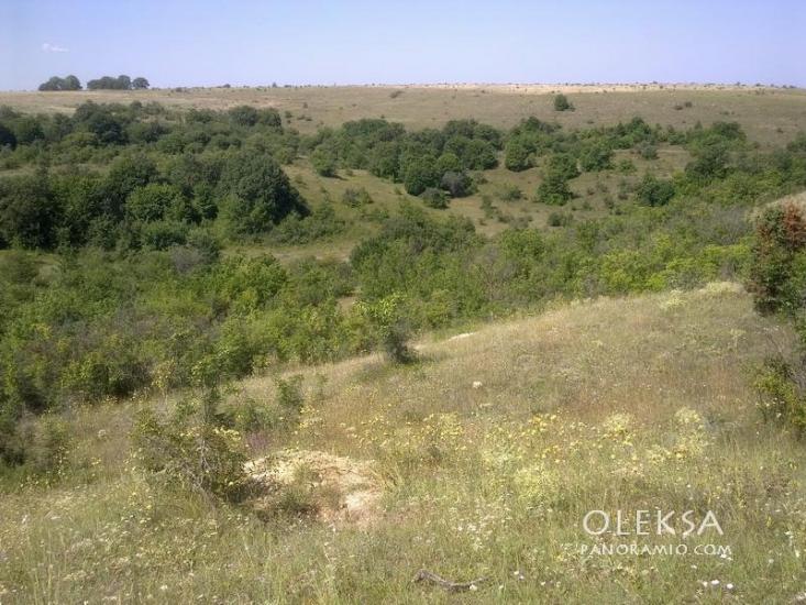 Рєпіне з panoramio.com - Рєпіне