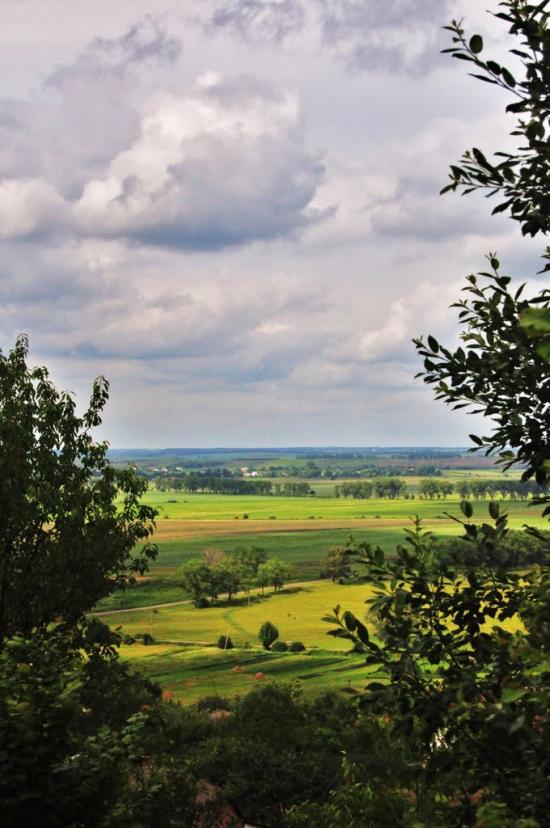 Відники з panoramio.com - Vidnyky