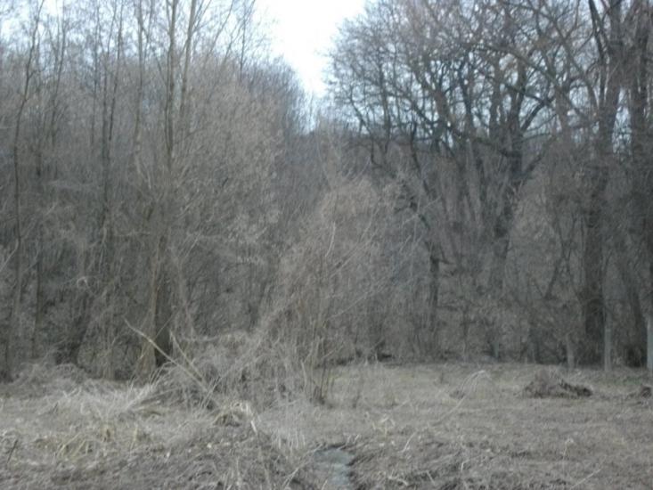 Ковильне з panoramio.com - Ковыльное