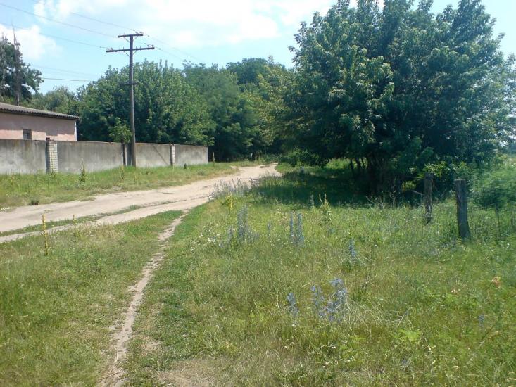 Великі Копані з panoramio.com - Великие Копани