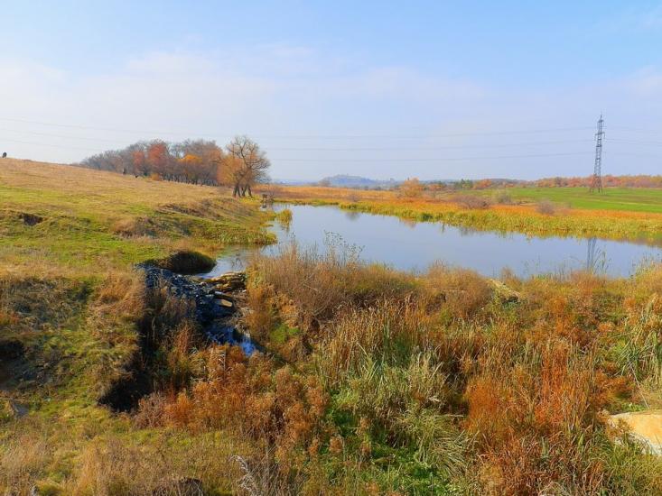 Нижня Кринка з panoramio.com - Нижняя Крынка