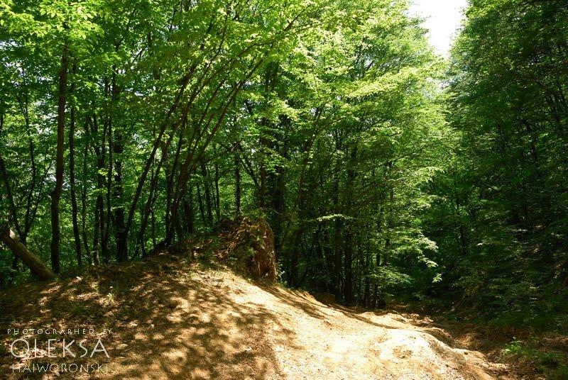Багата Ущелина з panoramio.com - Bagata Uschelyna