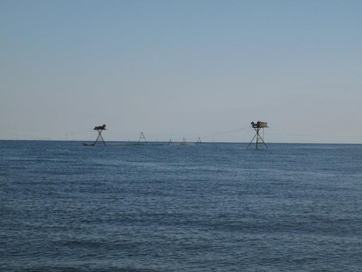 Водопійне з panoramio.com - Vodopiyne