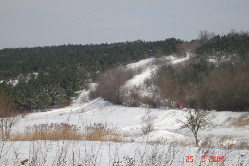 Алтестове з panoramio.com - Алтестово