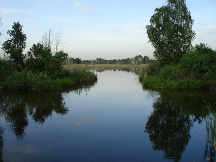 Старосілля з panoramio.com - Староселье