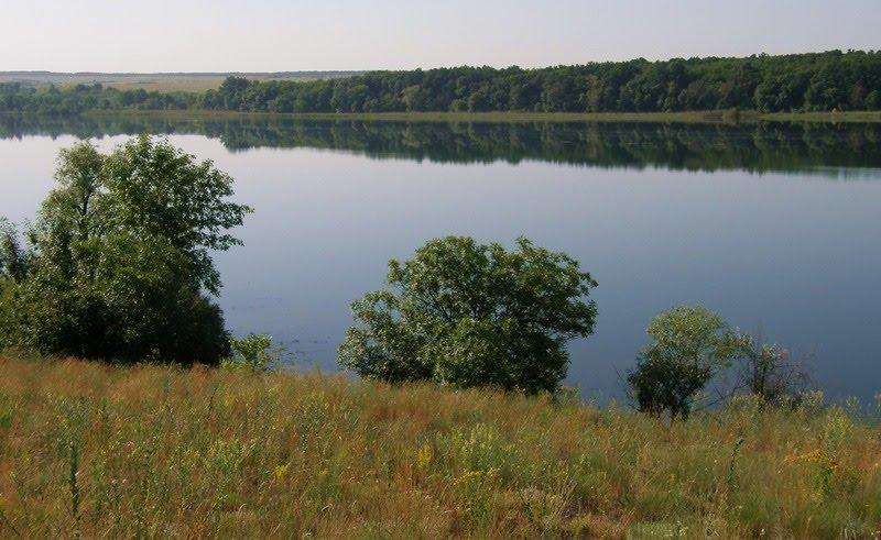 Вільхівка з panoramio.com - Вольховка