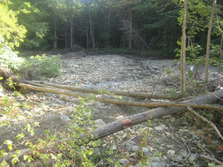 Кричка з panoramio.com - Кричка
