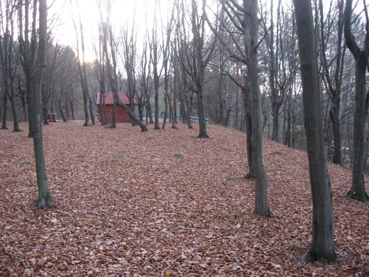 Візня з panoramio.com - Візня