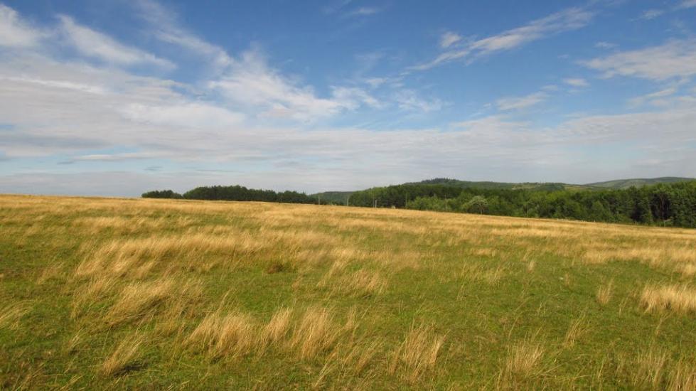 Маркова з panoramio.com - Markova