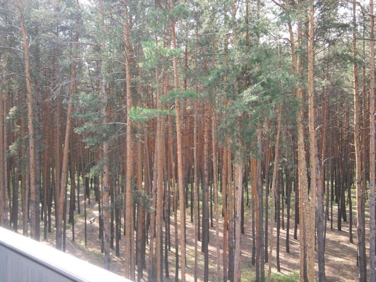 Металівка з panoramio.com - Металівка