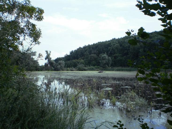 Руські Тишки з panoramio.com - Руські Тишки