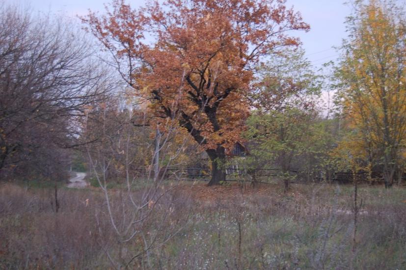 Хоцьки з panoramio.com - Хоцки