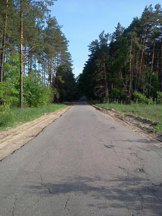 Любимівка з panoramio.com - Любимовка