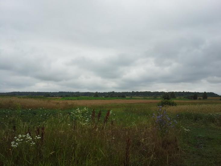 Вирка з panoramio.com - Вырка