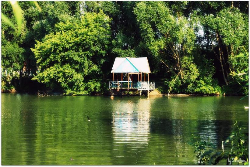 Воронівка з panoramio.com - Воронівка