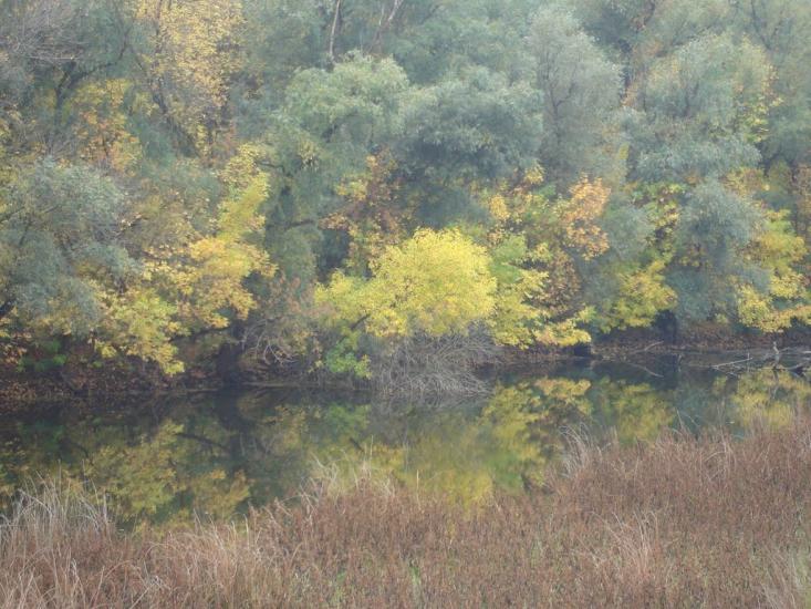 Матроська з panoramio.com - Матросская