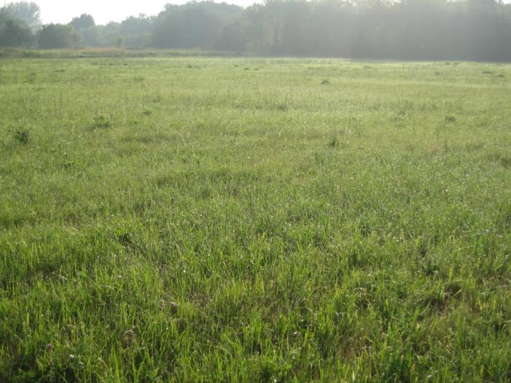 Хворостянівка з panoramio.com - Хворостянівка