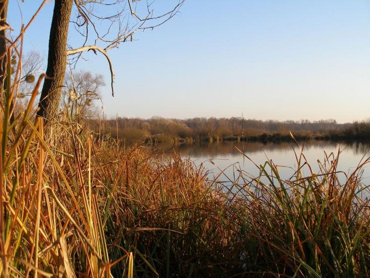 Мошни з panoramio.com - Мошны