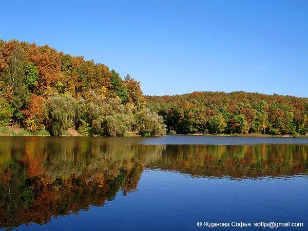 Лісне з panoramio.com - Лесное