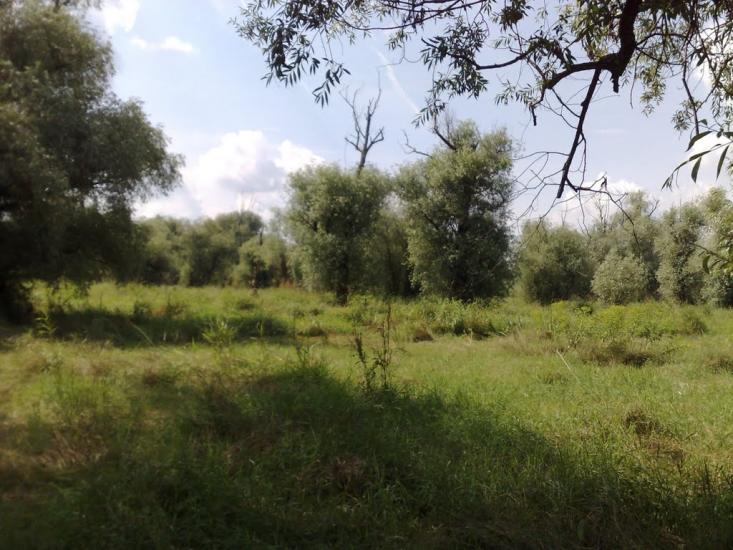 Яськи з panoramio.com - Jasky